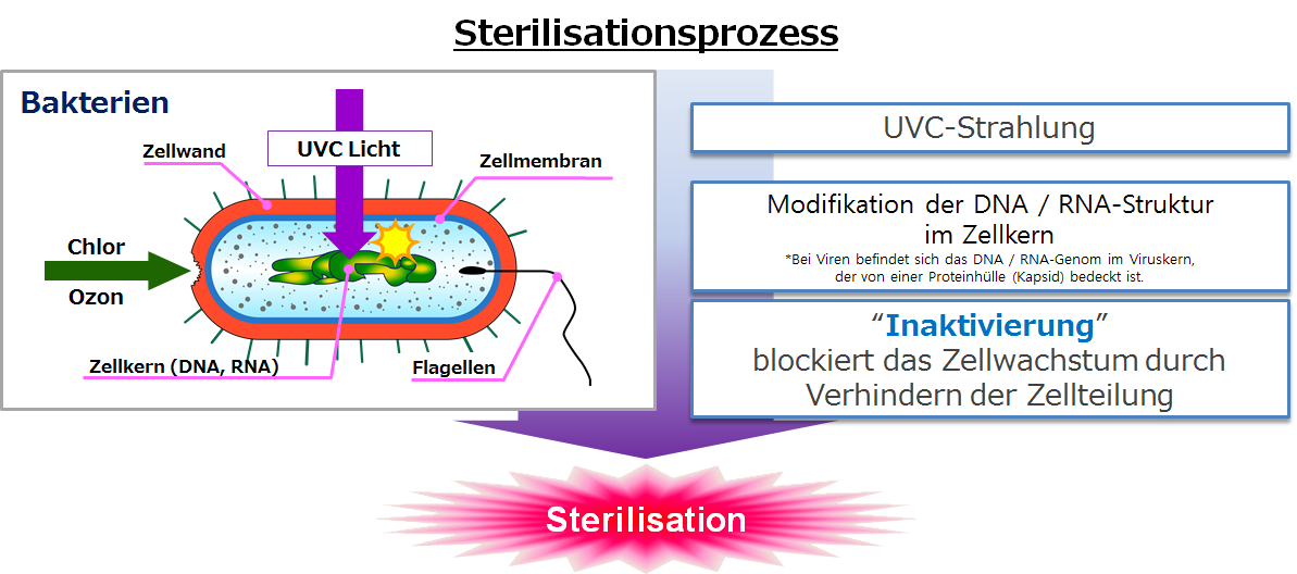 Prinzip der Sterilisation mittels UV