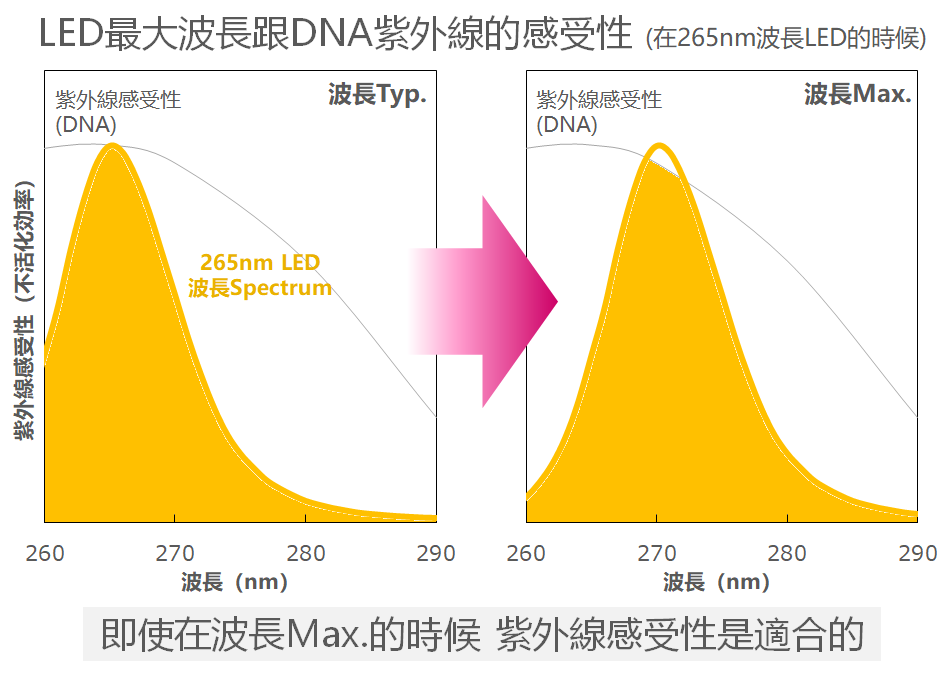LED最大波長とDNA紫外線感受性（265nmLED場合）